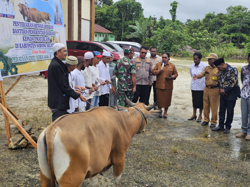Bupati Sorong Selatan Serahkan Hewan Kurban  Perayaan Idul Adha 1446 H
