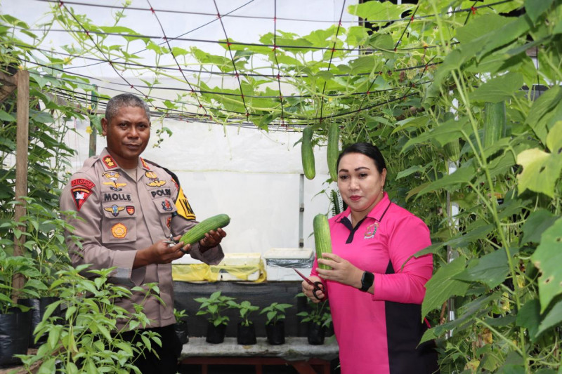 Bhayangkari Polres Sorsel Launching Penguatan Program Pekarangan Pangan Lestari Dukung Ketahanan Pangan Dan Program MBG